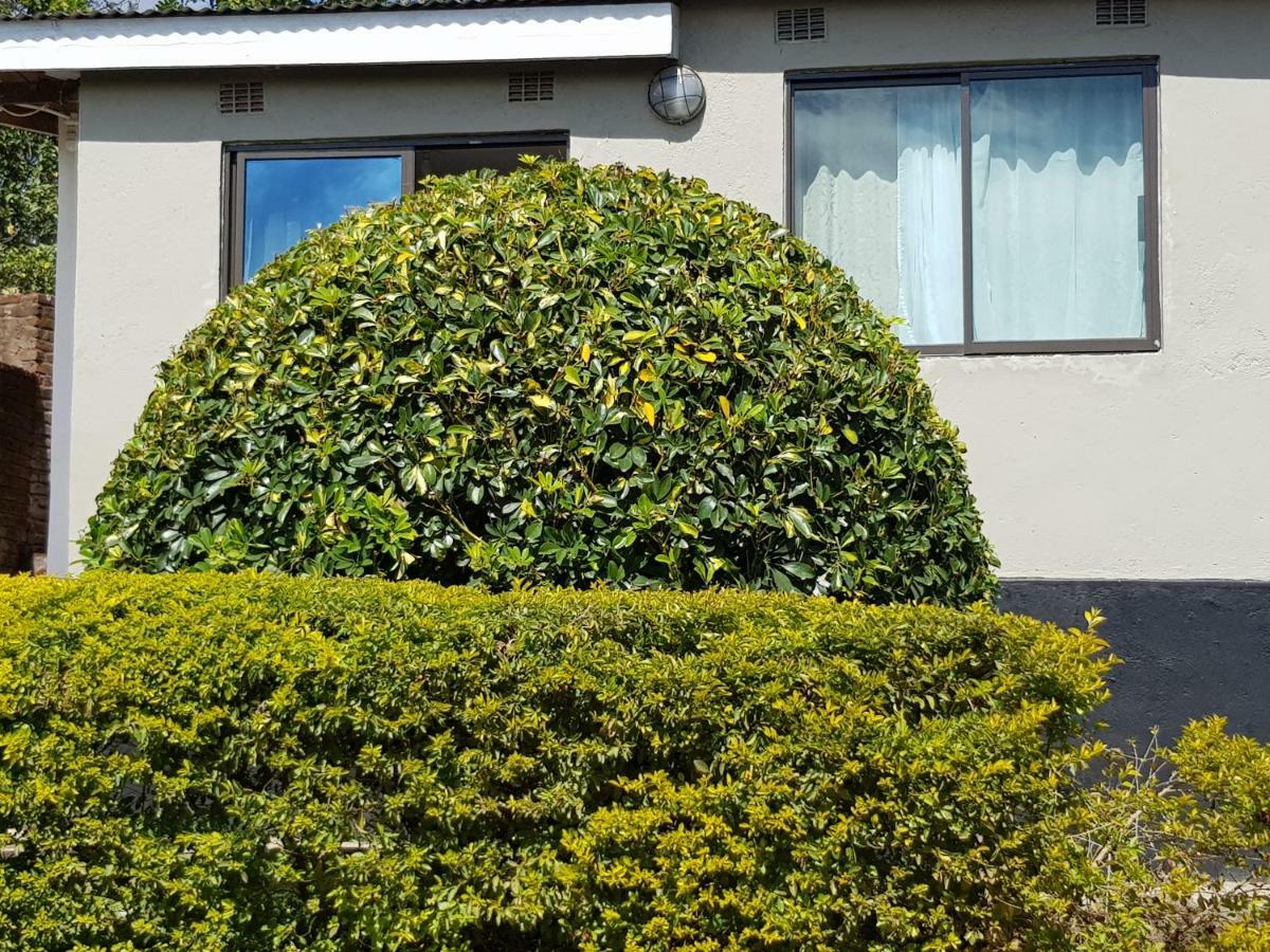 Chinyonga Guesthouse Limbe Zewnętrze zdjęcie